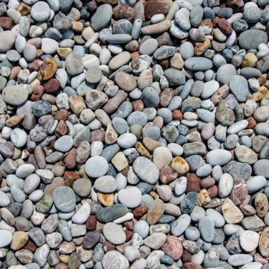 Pebble beach doku
