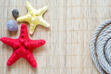 starfishes ip ile