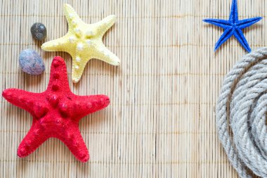 starfishes ip ile