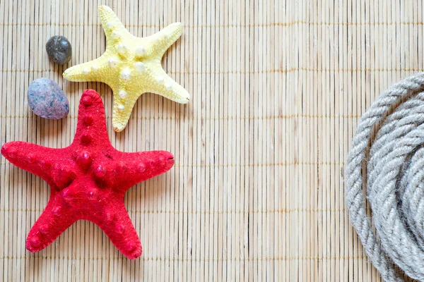 Starfishes med rep — Stockfoto