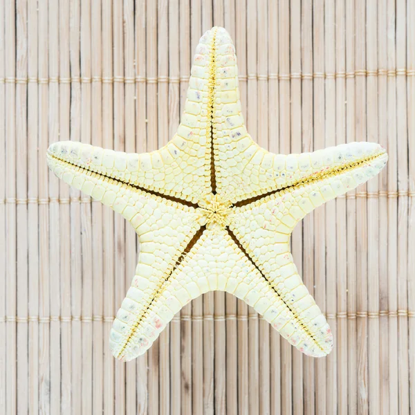 Estrella de mar — Foto de Stock