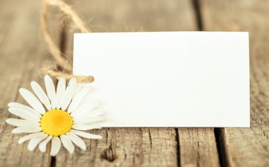 Papatya ile çerçeve