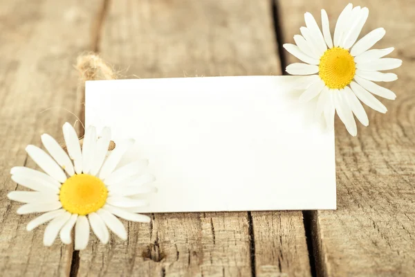 Frame with daisies — Stock Photo, Image