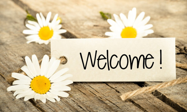 Frame with daisies and lettering welcome — Stock Photo, Image