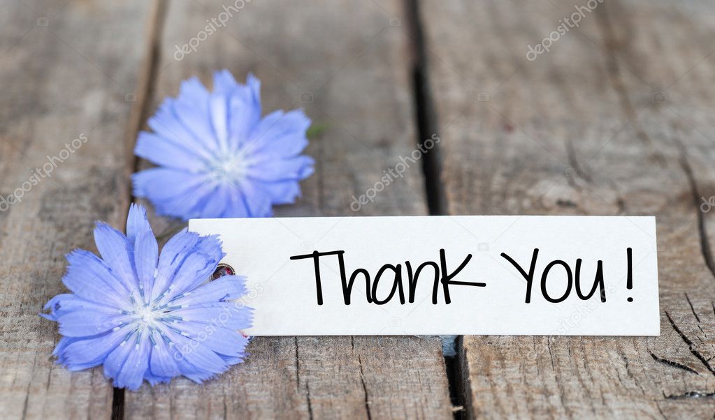 Thank you card Stock Photo by ©roobcio 48127031
