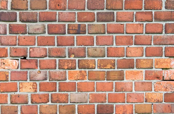 Brick wall — Stock Photo, Image