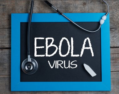 Ebola virüsü kavramı
