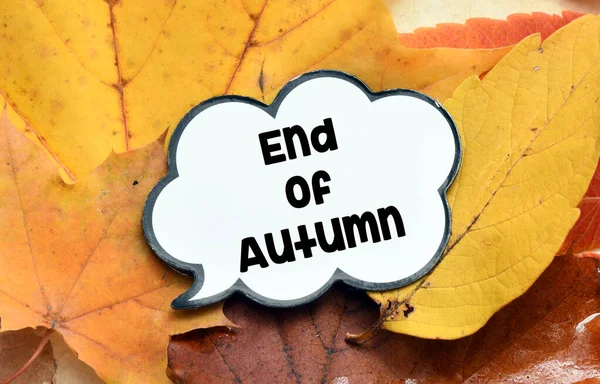 Einde Herfst Tekst Een Wolk Herfstbladeren — Stockfoto