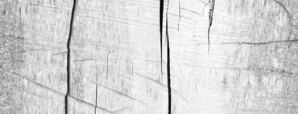 Белая Древесина Текстура Фона Широкая Деревянная Панель Рисунок — стоковое фото