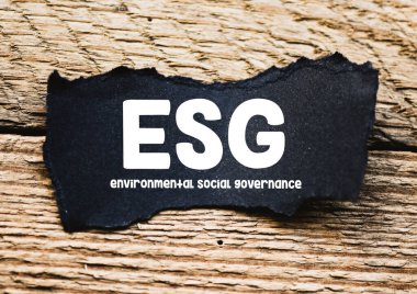 ESG Çevresel Sosyal ve Yönetim İş Adamı Stratejisi ESG 'ye Sürdürülebilir