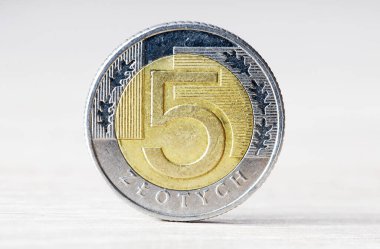 Polonya parası ve 5 zloti.