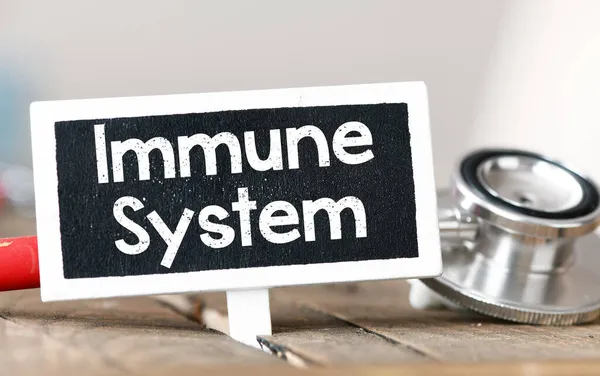 Immune System 이라는 단어가 칠판에 의학적 — 스톡 사진