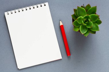 Boş not defteri ve ofis tahtasının üzerinde.