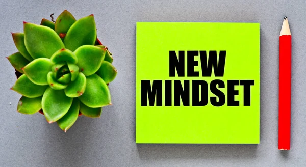 New Mindset Words Small Piece Paper — Stock Photo, Image