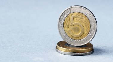 Beş zloti. Polonya Para Birimi.