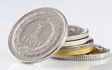 Madeni para 1 zloti. Polonya Para Birimi.