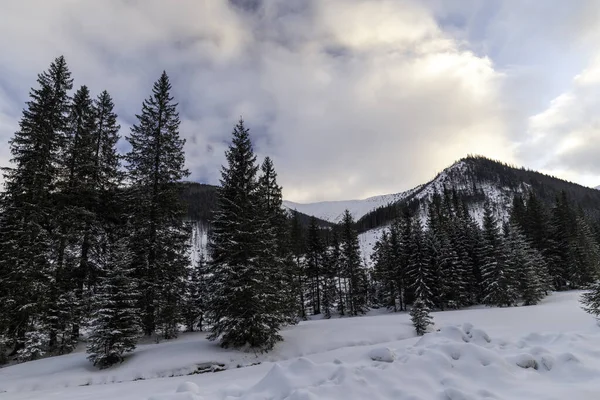 Vinterfjällslandskap Landskap Tatras — Stockfoto