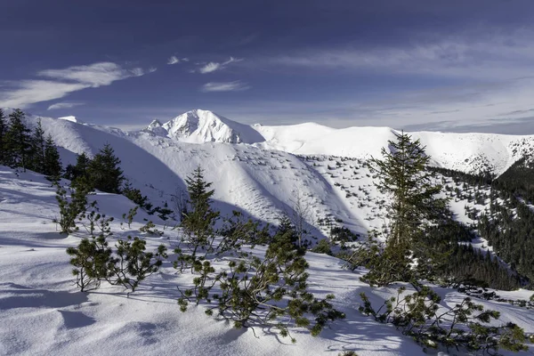Kış Dağı Manzarası Tatra Manzara — Stok fotoğraf