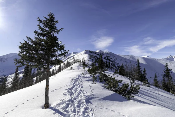 Vinterfjällslandskap Landskap Tatras — Stockfoto