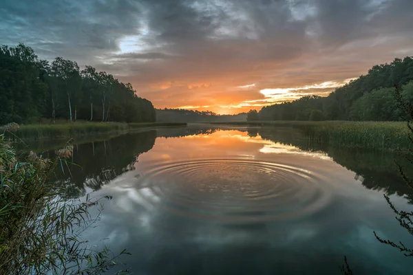 Soluppgång Över Dammen — Stockfoto