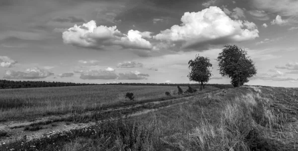 Smutsig Väg Svartvitt Landskap Landsbygden — Stockfoto