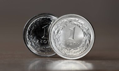 Madeni para 1 zloti. Polonya Para Birimi.