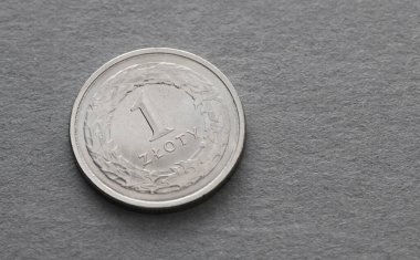 Madeni para 1 zloti. Polonya Para Birimi.