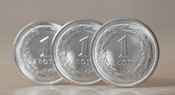Coin Zloty Currency Poland — Stock Photo, Image