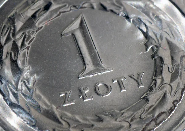 Pièce Zloty Monnaie Pologne — Photo