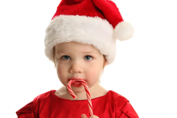 Candy Cane Cutie — Stock Photo, Image