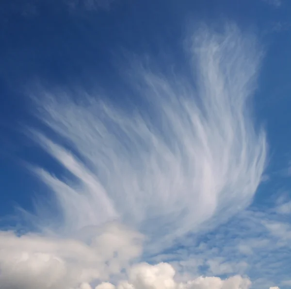 馬の尾の雲 — ストック写真