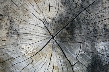kentsel grunge textures boyalı