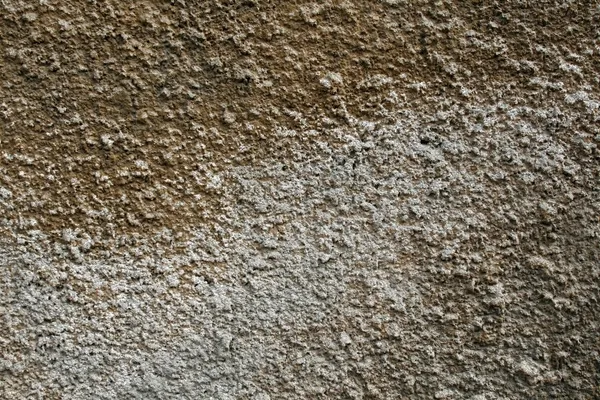 Texture of a concrete wall — Stock Photo, Image