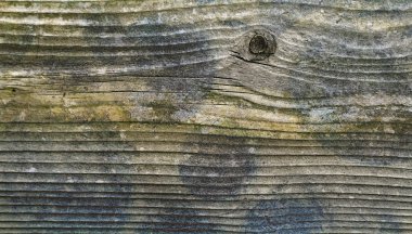 Wooden grunge texture and background