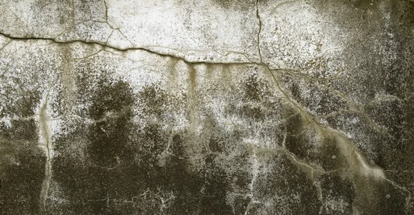 Wall texture — Stock Photo, Image