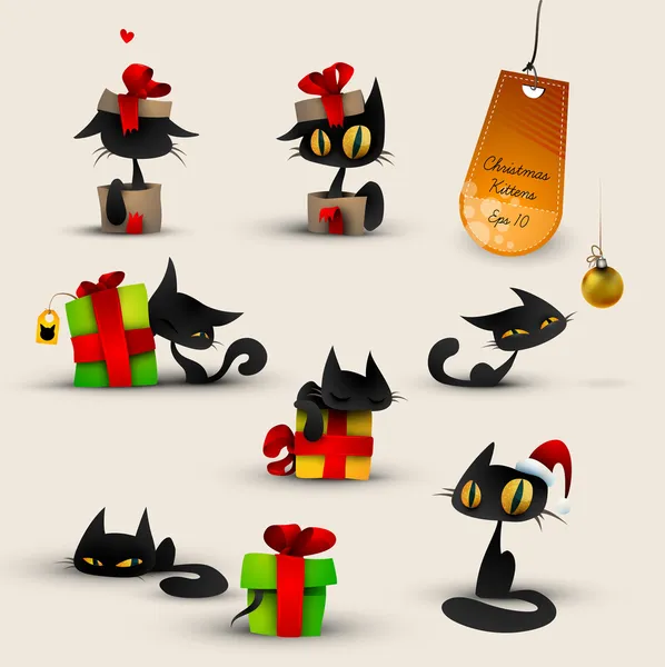 Noel yavru kedi, kedi, toplama