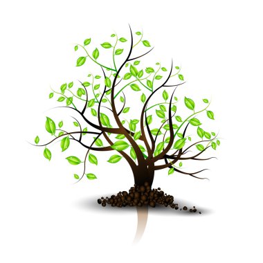 Bir ağacın vektör illüstrasyonu