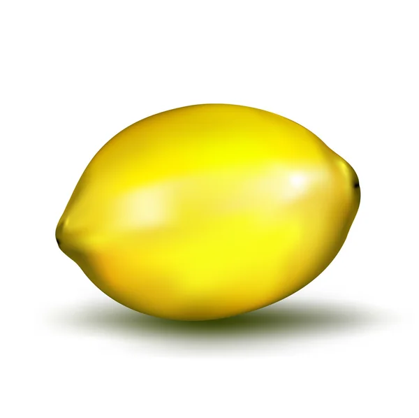 現実的なレモン — ストックベクタ