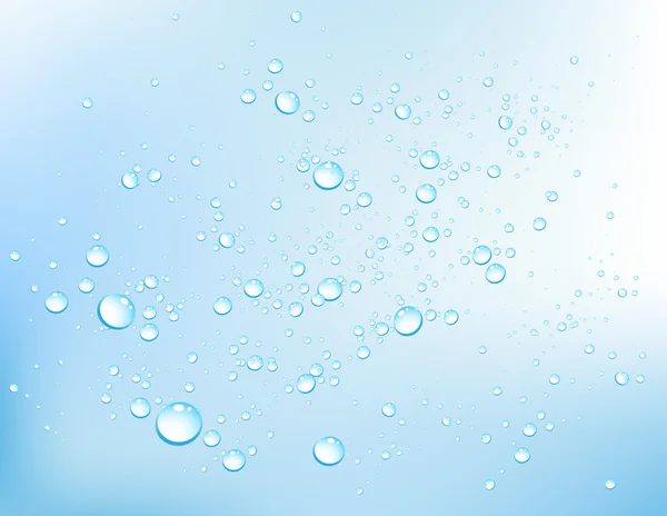 Vector water bubbles — Stok Vektör