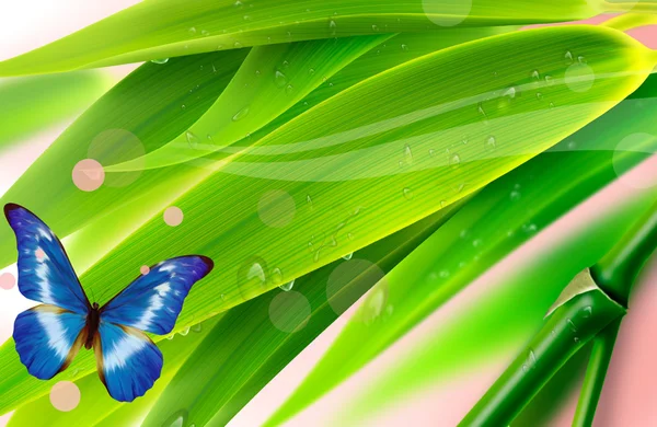 Természet és a pillangó Stock Kép