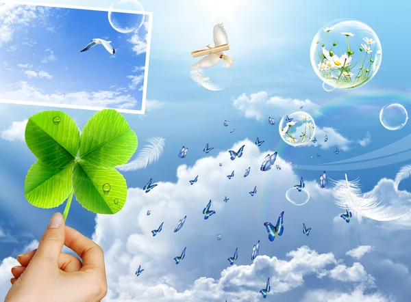 Dream Place Nature — Stock Image Dream Place Nature Stock Picture