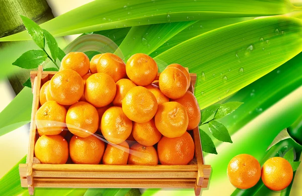 Caja de naranjas Frutas Imágenes De Stock Sin Royalties Gratis