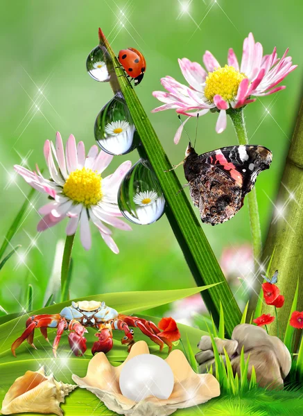 Wassertropfen Natur Stockfoto