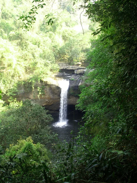 Εθνικό πάρκο khaoyai — Φωτογραφία Αρχείου