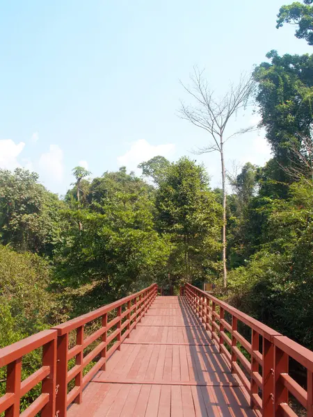 Khaoyai Milli Parkı — Stok fotoğraf