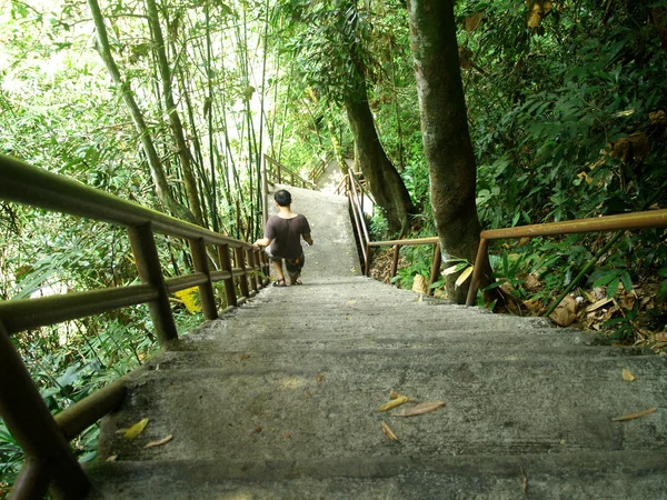 khaoyai Milli Parkı