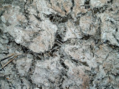 Kuru ve çatlak yeryüzü arka planı