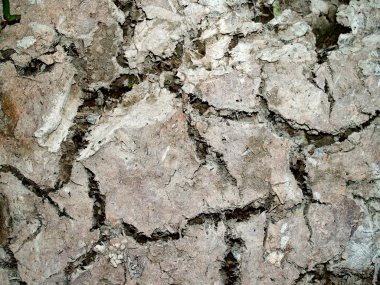 Kuru ve çatlak yeryüzü arka planı