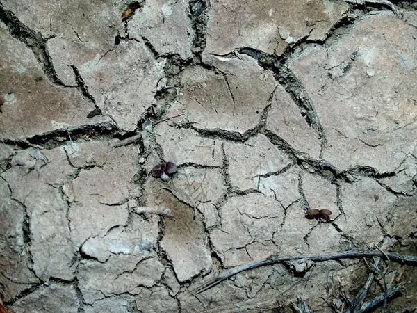 Fondo de suelo agrietado y polvoriento — Foto de Stock