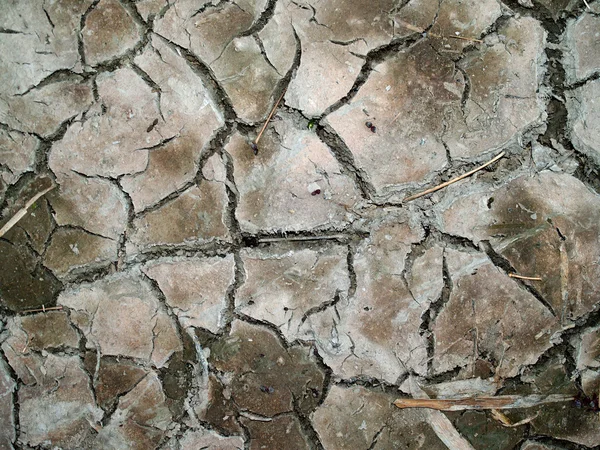 Suché a popraskané zeminy pozadí — Stock fotografie